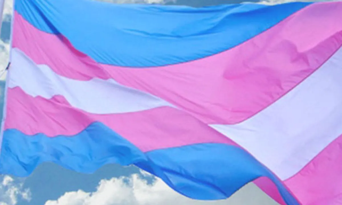 Entidades reagem a vetos de terapias hormonais para menores