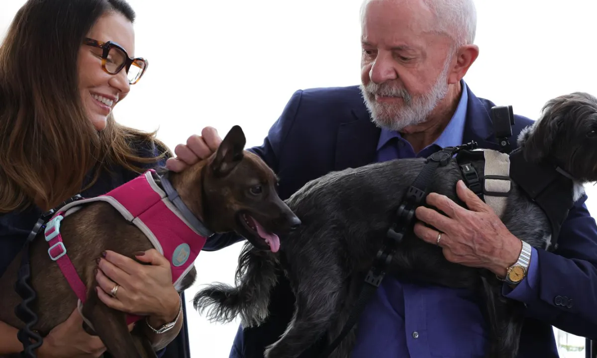 Lula lança programa de identificação e proteção de cães e gatos