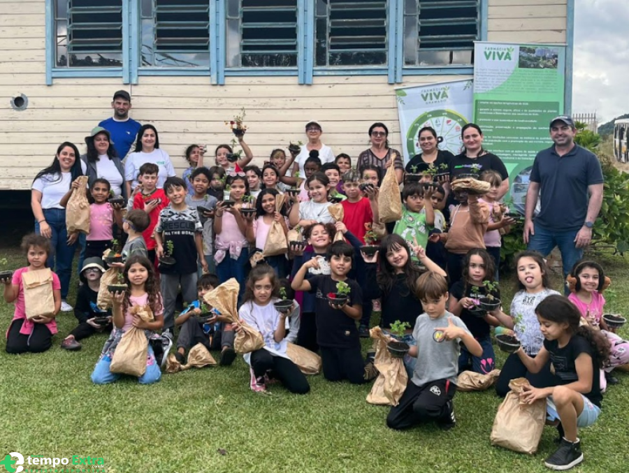 Escola Vicente Casagrande desenvolve projeto com plantas medicinais e produção de folder educativo